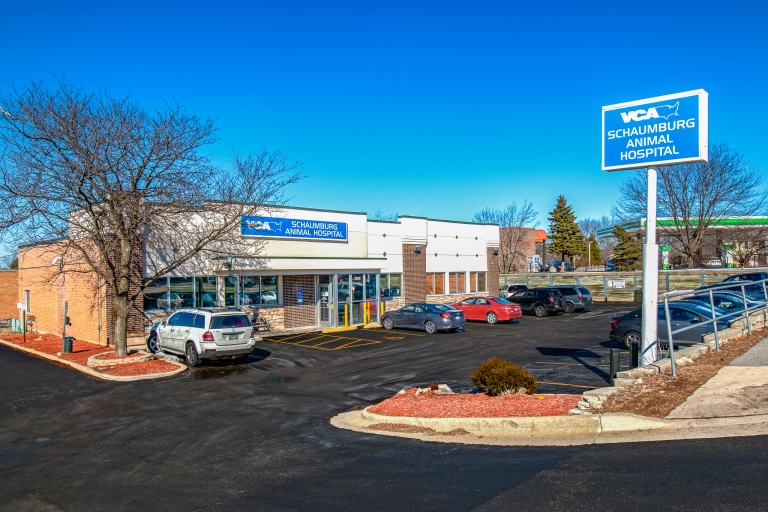 SIG Broker Closes First Deal by Bringing in Multiple Offers on Illinois Retail Pet Store Property
