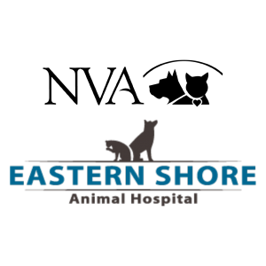 NVA – Eastern Shore Animal Hospital | Painter, VA