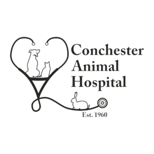 Conchester Animal Hospital | Boothwyn, PA