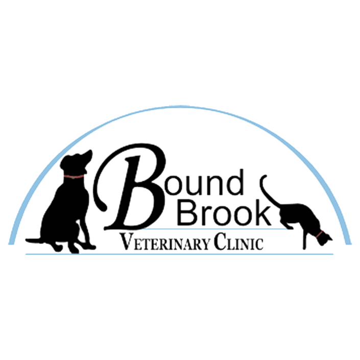 PetVet (Bound Brook Clinic) Logo Sands Investment Group SIG