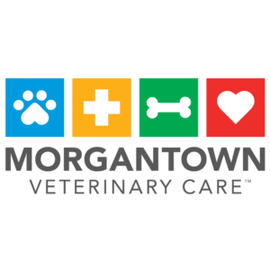 Southern Veterinary Partners | Morgantown, WV